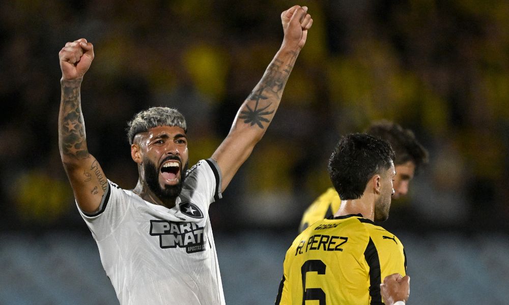 botafogo-na-final.jpg